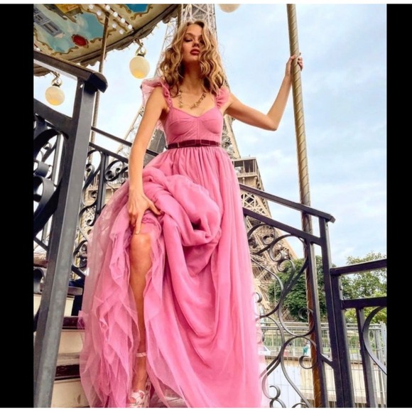LoveShackFancy Macron Pink Tulle Gown Ruffle Sleeve Maxi Dress NWT $1095 - Picture 5 of 6